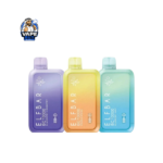 ELF Bar BC10000 Puffs 20MG Disposable Vape in Dubai
