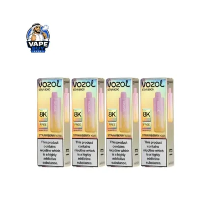 VOZOL Star 8000 Puffs 50mg No Charging Disposable Vape Dubai